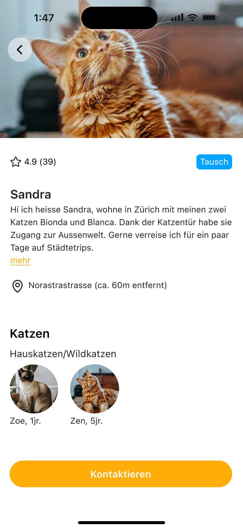 Miauzly App - Besitzer Profil